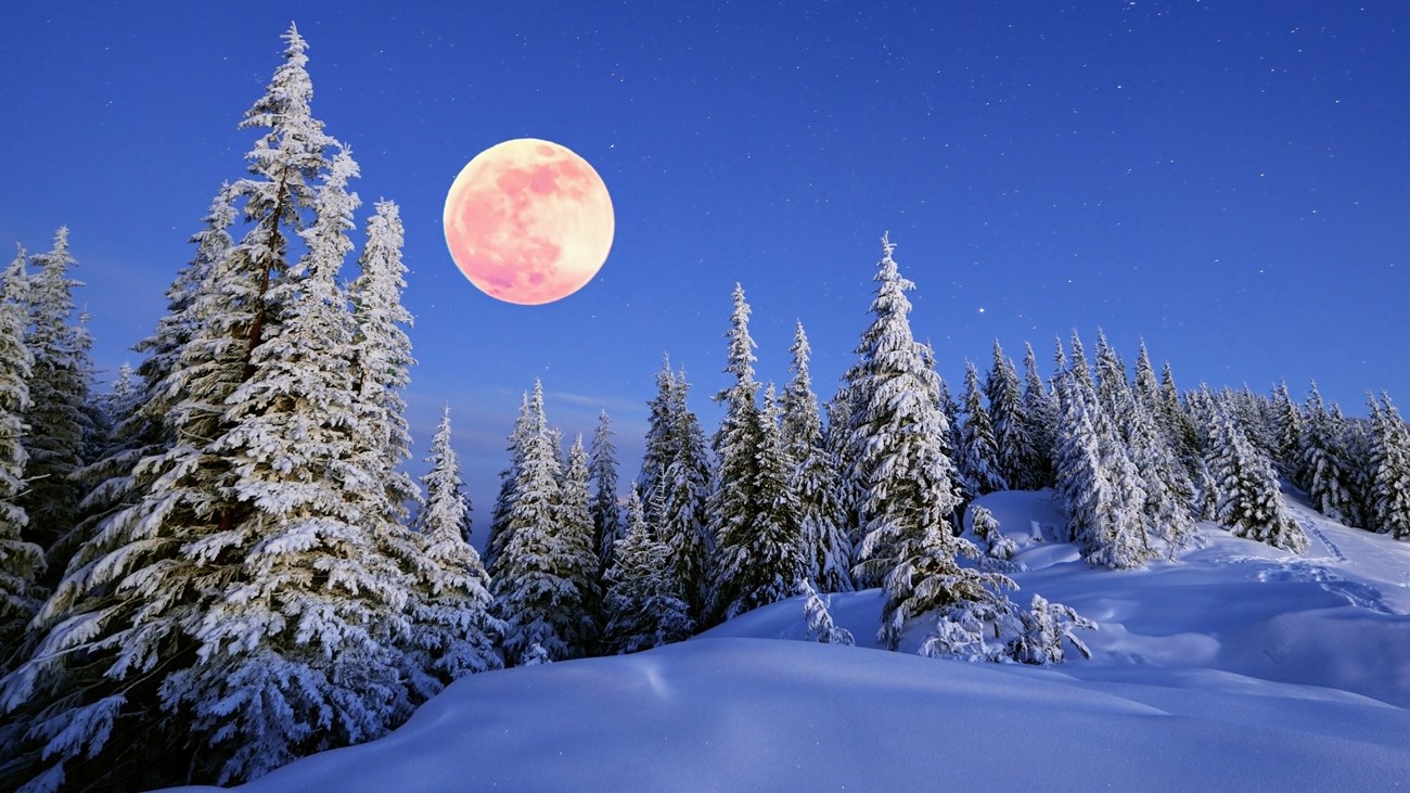 9cbcee7e-66bb-4831-9aa2-7d6bc1b27b4e