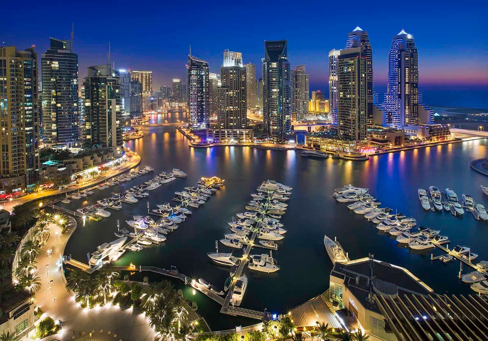 image - 2024-02-03T204806.214