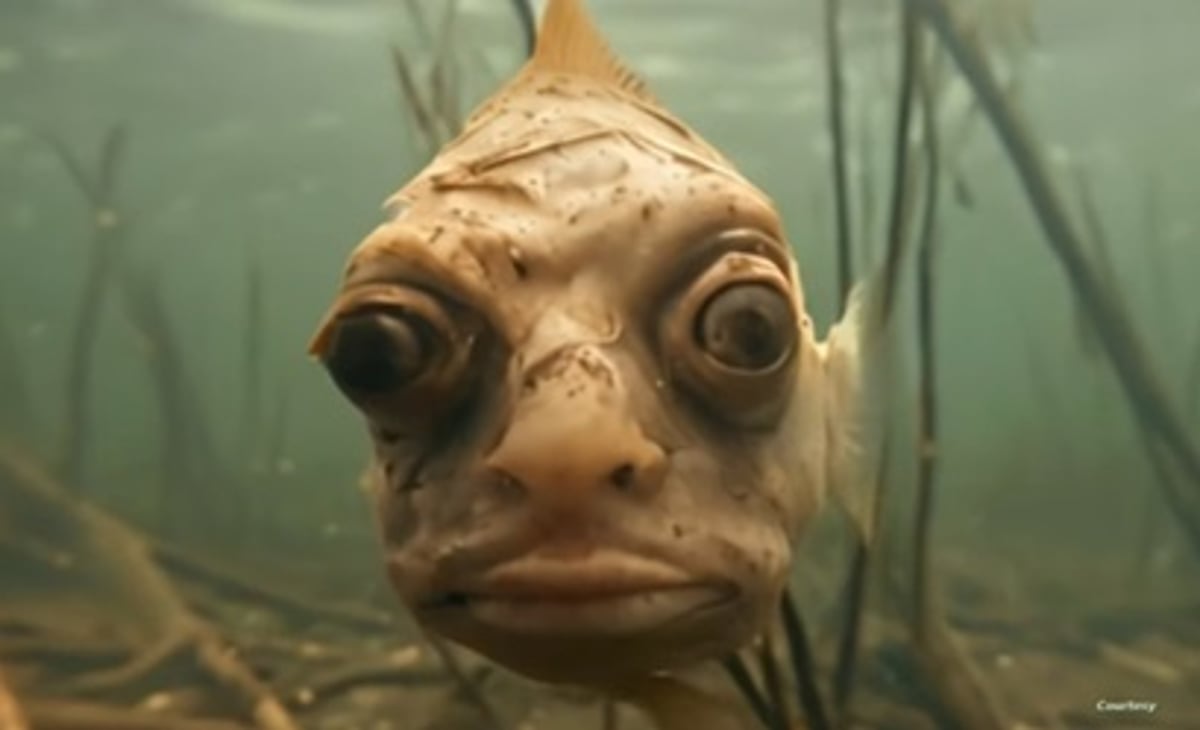 sabq_2024-02_2194a5c0-dfed-4e41-a2eb-bdb9a90e39e1_5