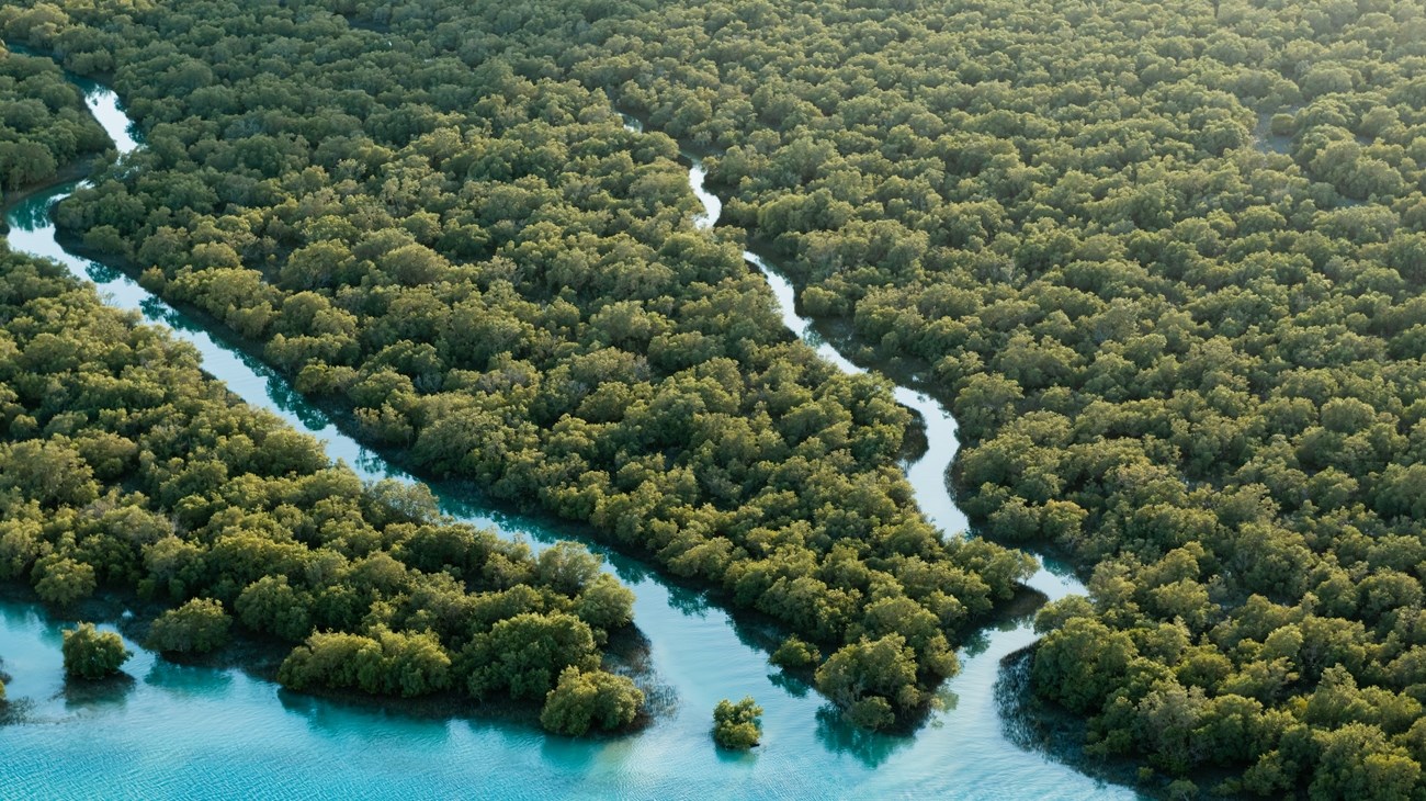 4df9e7a7-8718-40f2-addb-ebc48f0edb07