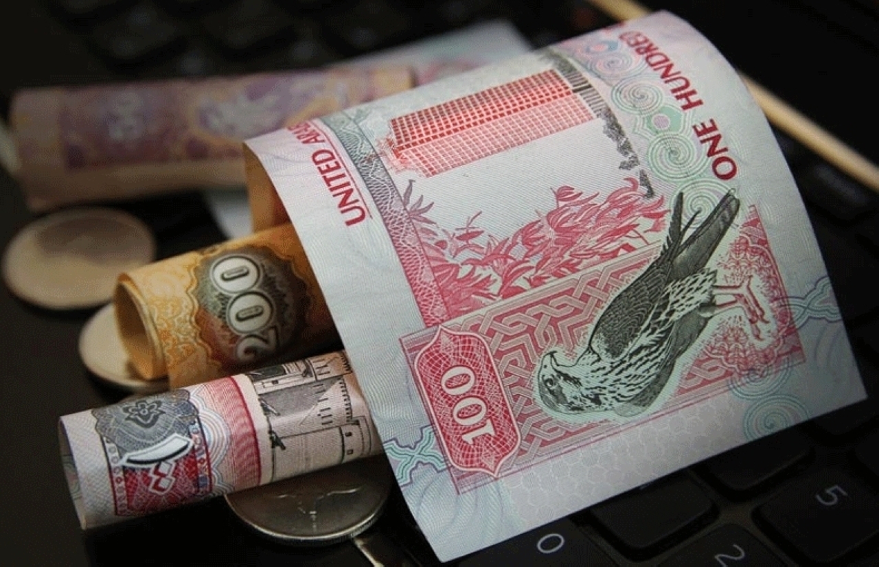 245 مليار درهم الودائع الادخارية في القطاع المصرفي بنهاية فبراير الماضي