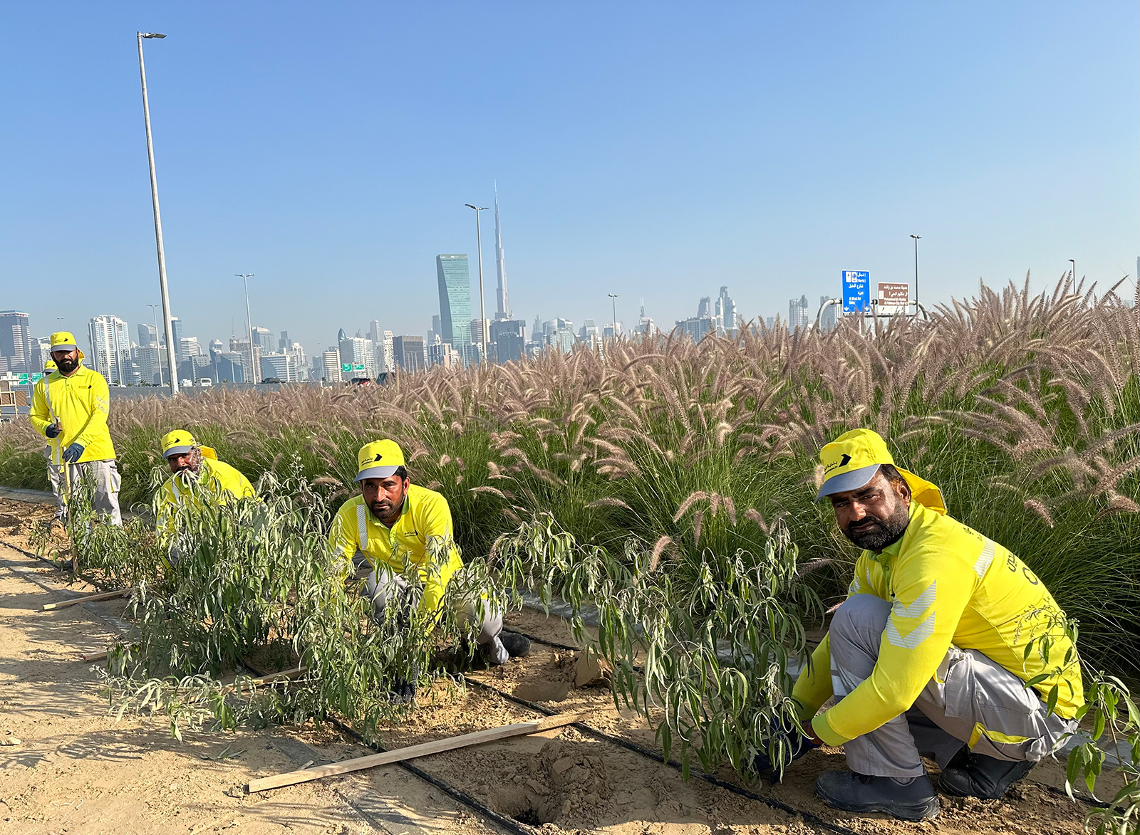 image - 2024-03-03T163907.251