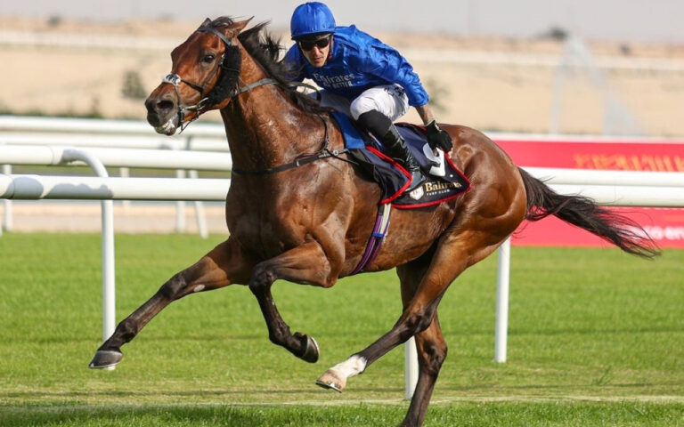 image - 2024-03-09T075603.961