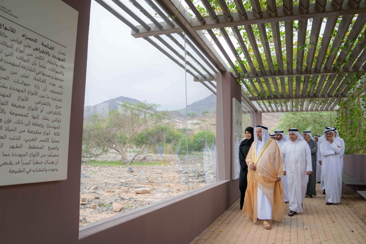 image - 2024-03-09T080738.231