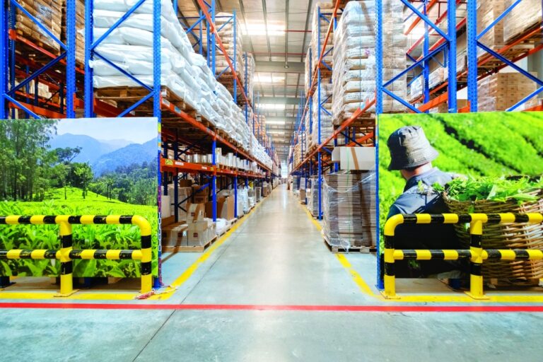 image - 2024-03-11T072141.308