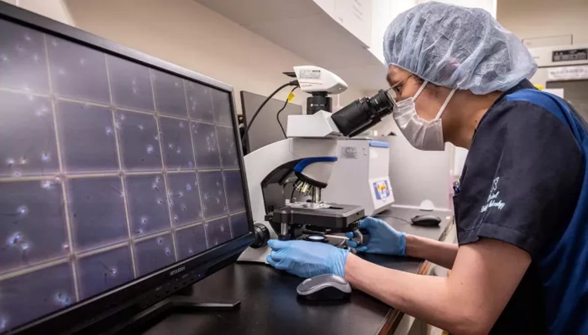 sabq_2024-03_a96d9ad1-72c8-496e-a734-ab101eaa0d44_1685889283_1685889283_77acatidzv69_700x400