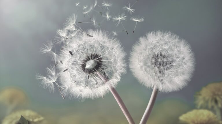 147a5cff-fe3e-4270-8314-897bfd19f4df