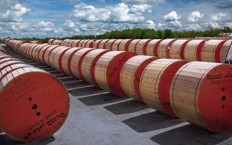 image - 2024-04-13T093225.461