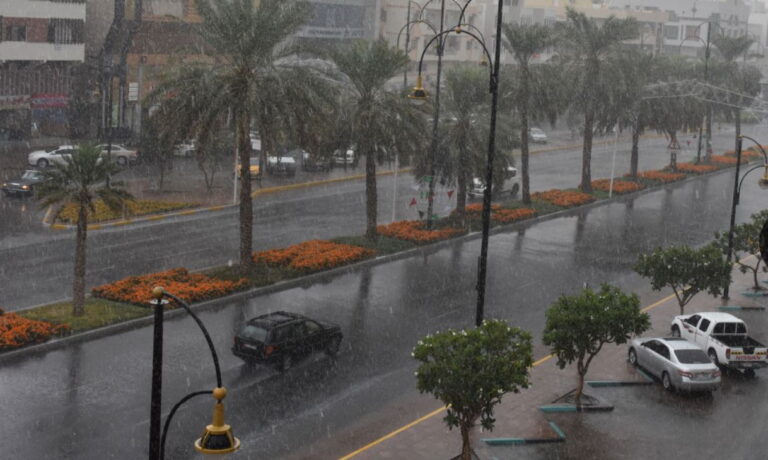 image - 2024-04-16T233146.919