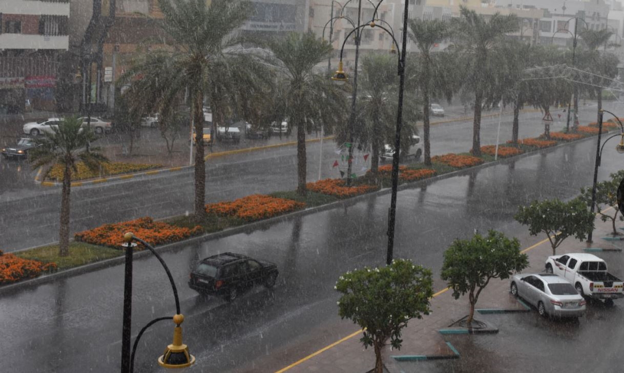 image - 2024-04-16T233146.919