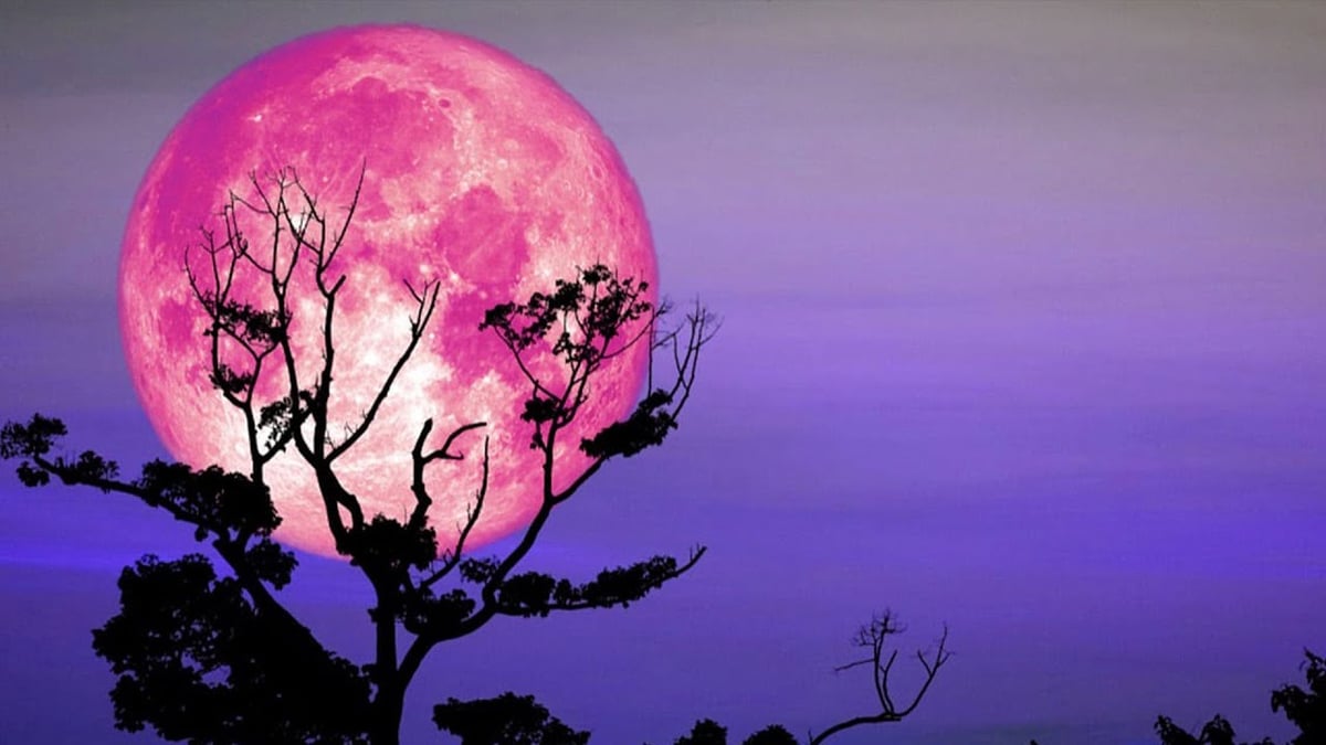 sabq_2024-04_51cfade3-b2f5-461d-bcfb-63baf28cfd88_image__1_