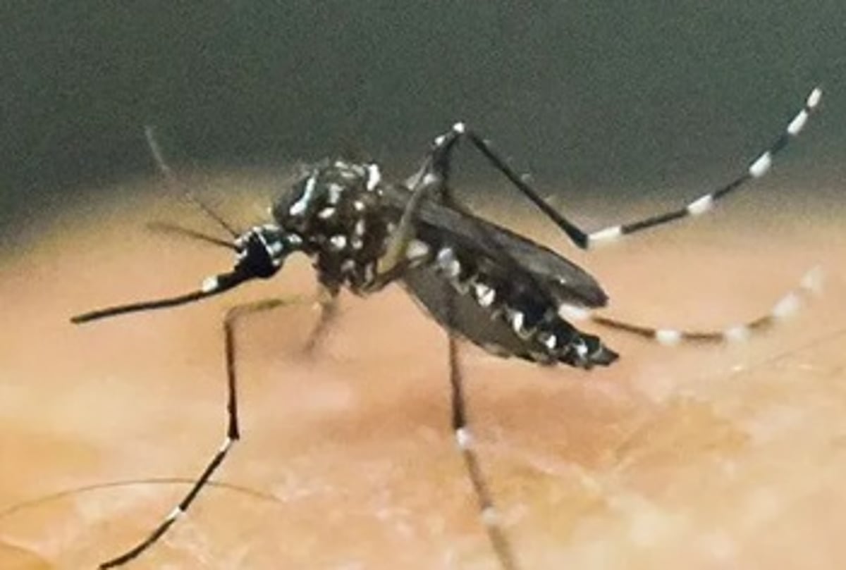 sabq_2024-04_a335062c-eb09-4593-8218-075ae063e6e7_1__87_