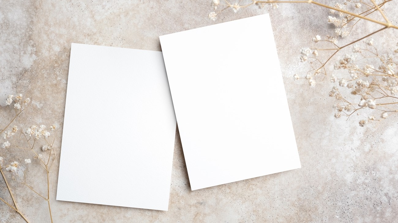 17b1537b-bb9d-413e-b850-850f1a51d300