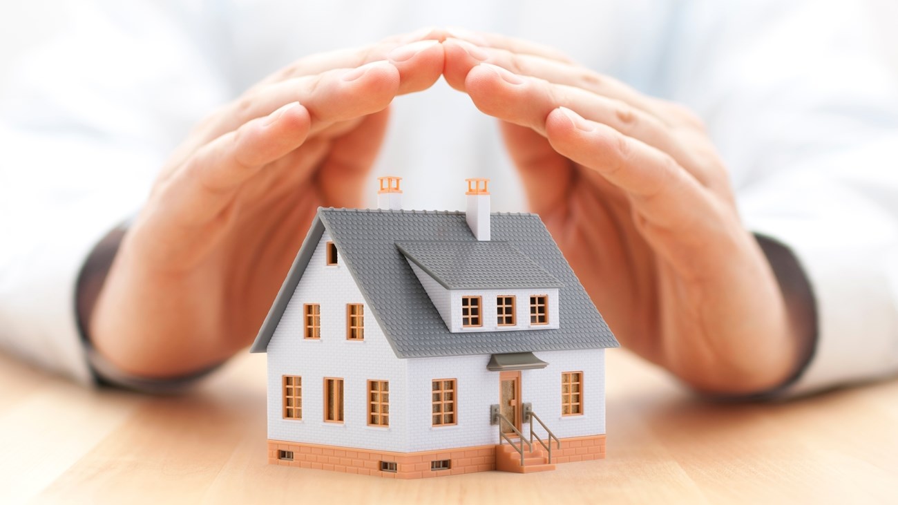 7310af55-1887-4cc0-a1b4-29fe0ba6af5a