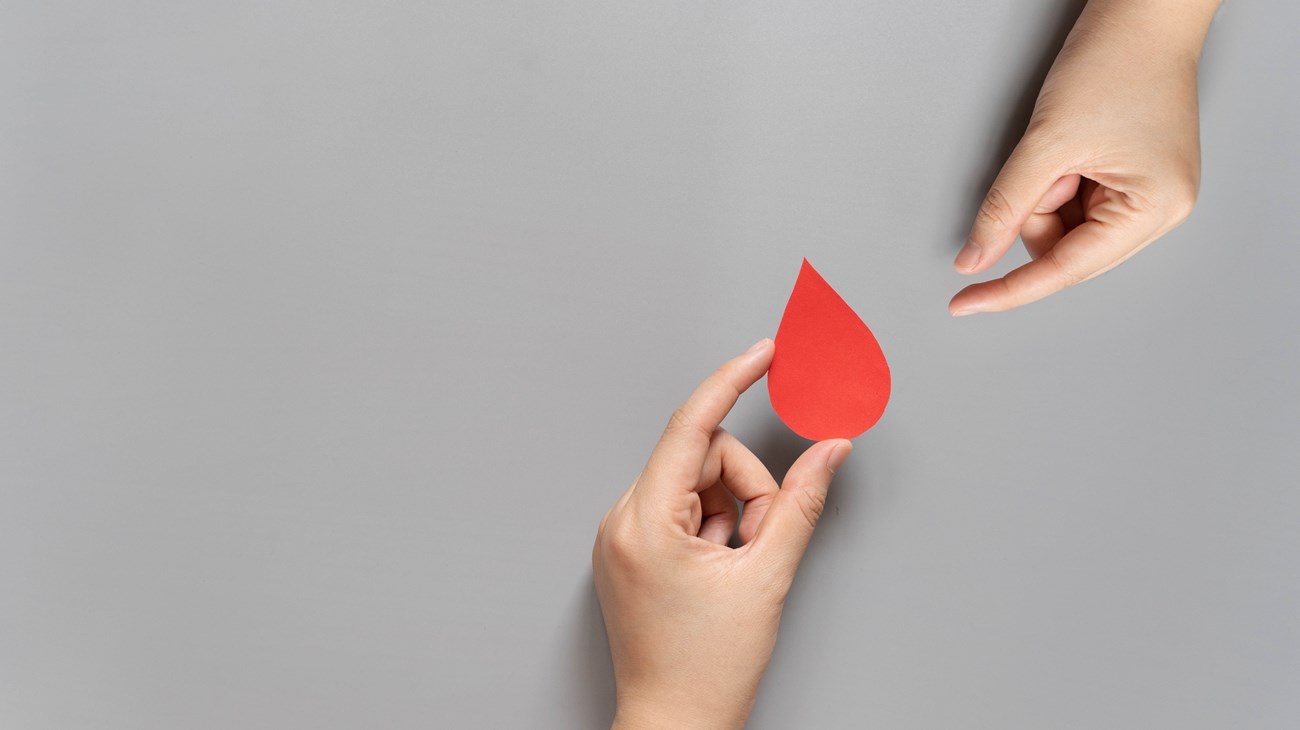 e6f40315-a4d7-4e28-b3bb-4092e629dea9