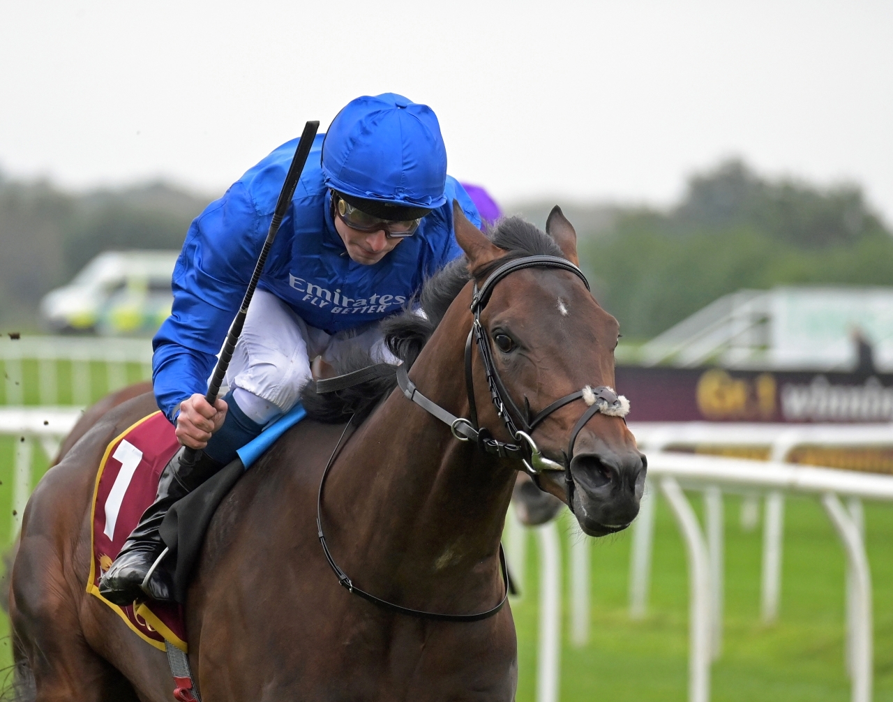 image - 2024-05-16T083113.031