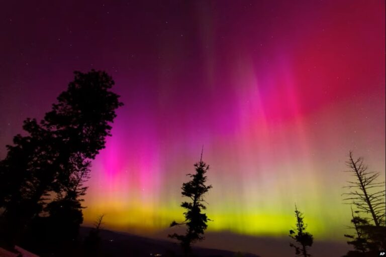 sabq_2024-05_47b89df5-96b3-43ee-b800-df1adda130d8_ea30b2e8-e09a-4942-8046-db91c3dcf5f6