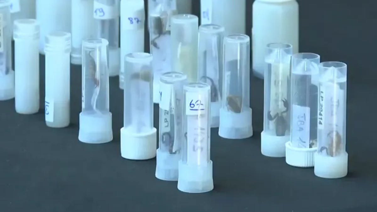 sabq_2024-05_82474e2d-78b4-4dc4-b8a1-ffdd319d5402_1_1713515