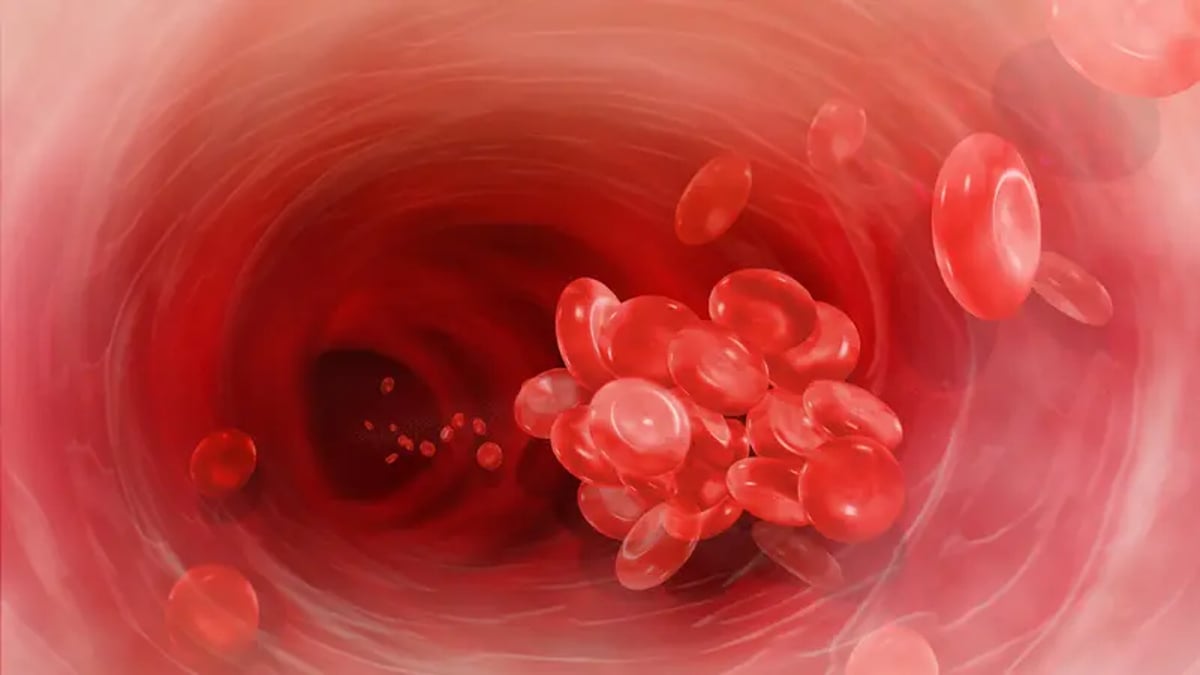 sabq_2024-05_8780c40f-fb34-47ed-a226-e6906b8eec3d_6678f1f7-acd8-4a93-ab0a-8c8de4ce3b84