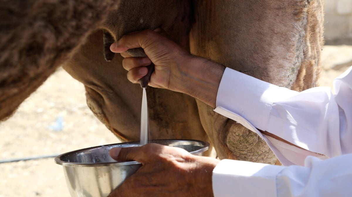 sabq_2024-05_8abb6403-aafc-4427-9178-43d6bc89ab6b_Image