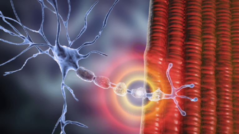 sabq_2024-06_7ccf8686-bc13-4a12-9172-0932dc9d7add_66716609423604182a40c08b