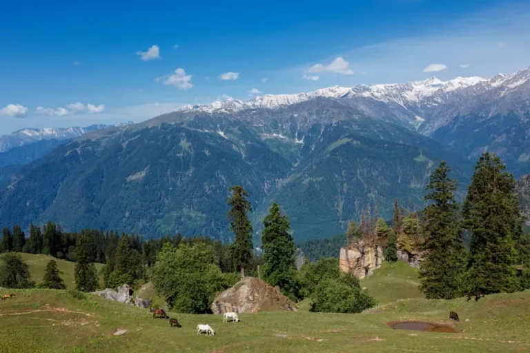 horses-grazing-in-himalayas-mountains-2023-11-27-05-18-24-utc (Copy)_0.jpg