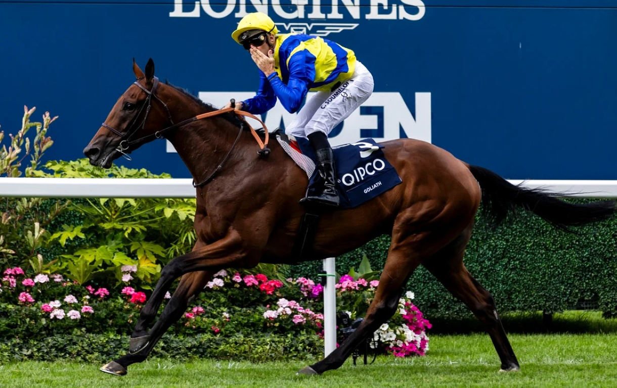 image - 2024-07-28T063717.334