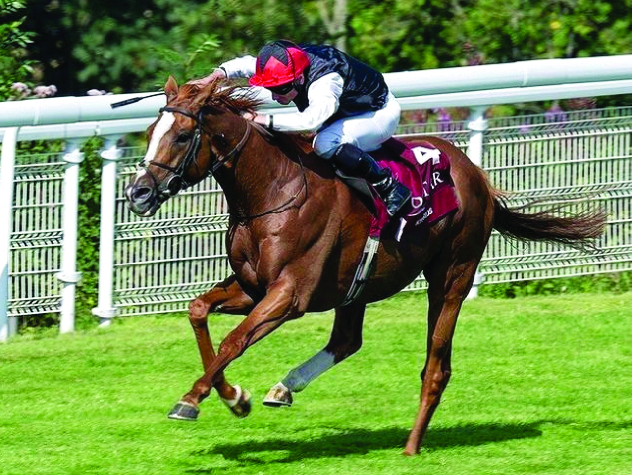 image - 2024-07-31T081215.180