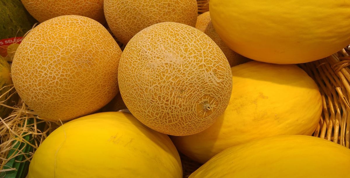 sabq_2024-07_960f188c-db05-4442-8927-0cfd461aa2a8_melons-2105434_1280