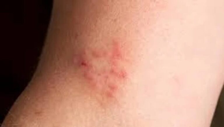 sabq_2024-07_e0a5c99f-7526-4a28-95e6-09011436e846_d2a113_55bf91adf1af482db1bb6e0a50f89108_mv2