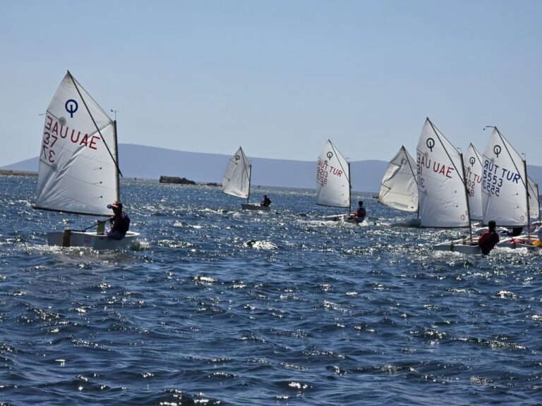 image - 2024-08-10T070638.099