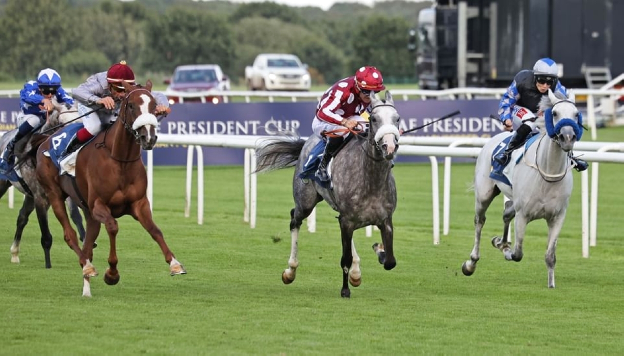 image - 2024-08-17T073754.986