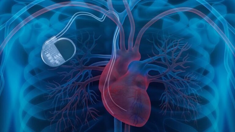 sabq_2024-07_42facfe5-ae2f-457b-a422-c5231a2e9156_Heart 2