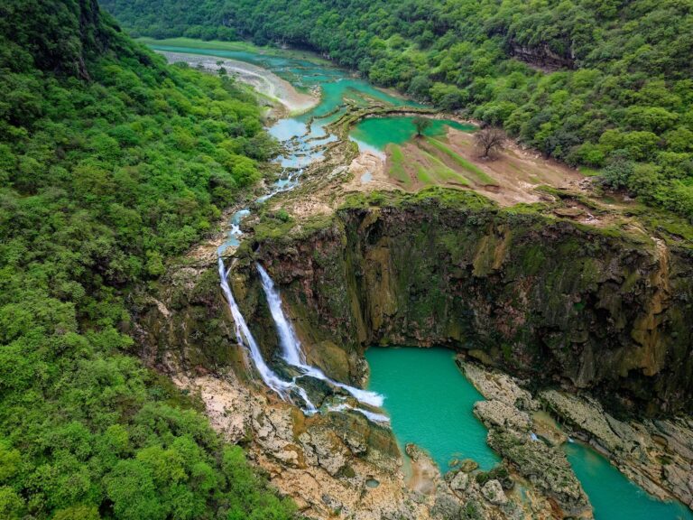 Dhofar2