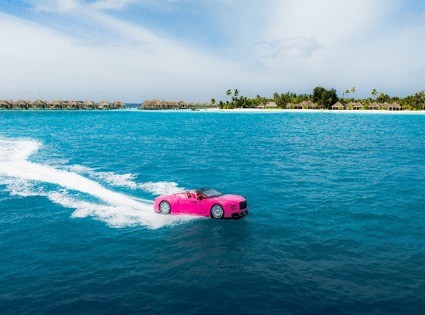 صورة1