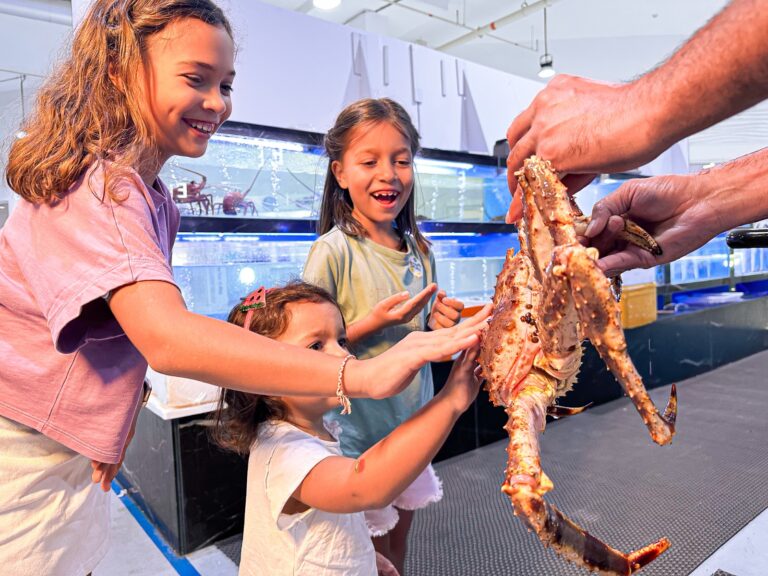 WhatsApp Image 2025-10-15 at 12.23.03 PM