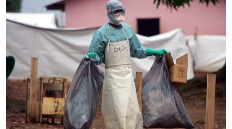 176110560216202511160311381138