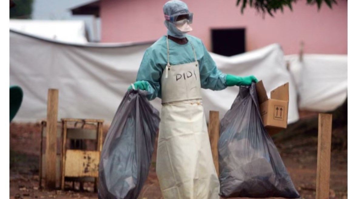 176110560216202511160311381138