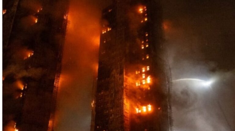 176110560216202511271243424342