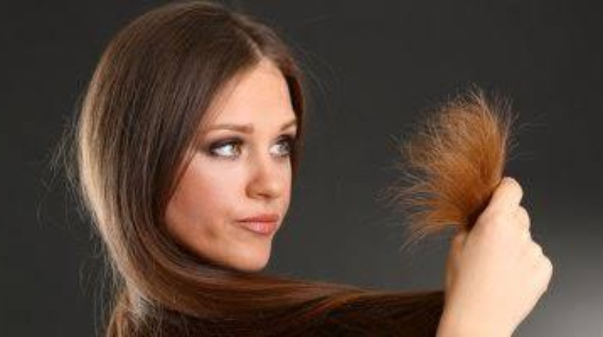 291230910534520251123123506356