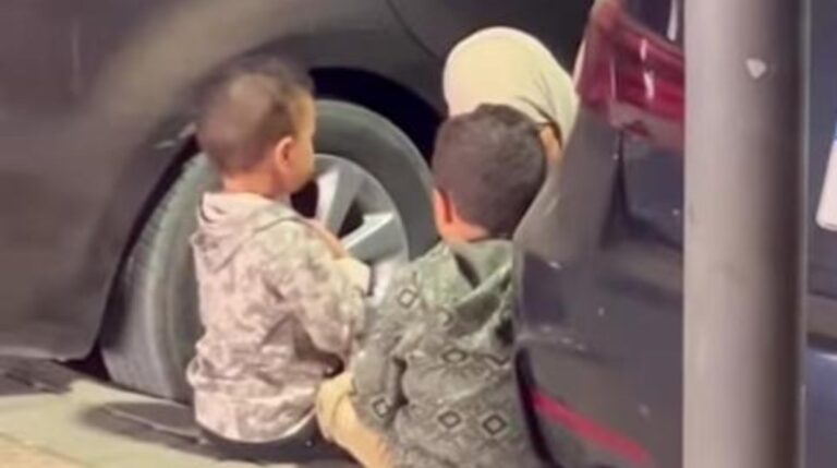 2912309105345202511240539463946