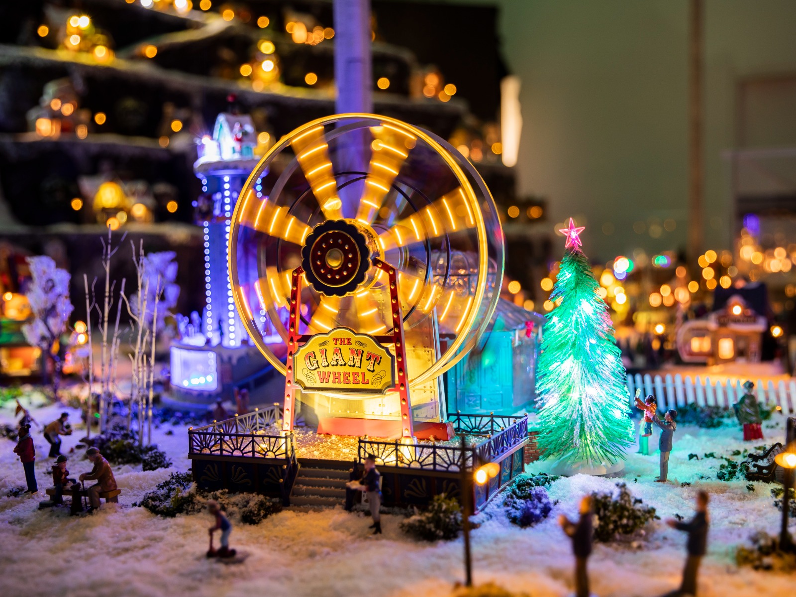 WhatsApp Image 2025-11-20 at 2.33.25 PM