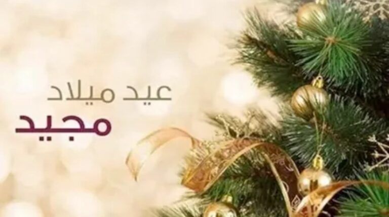 282824468658920251224113600360