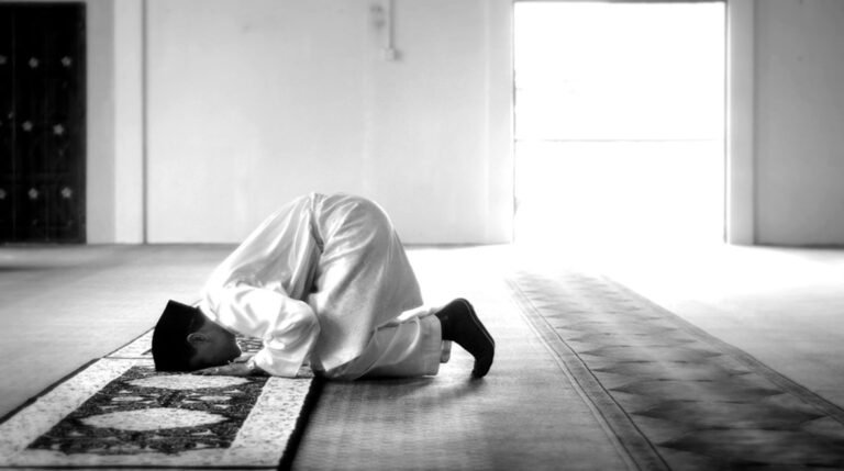 29111961148079202512140348144814