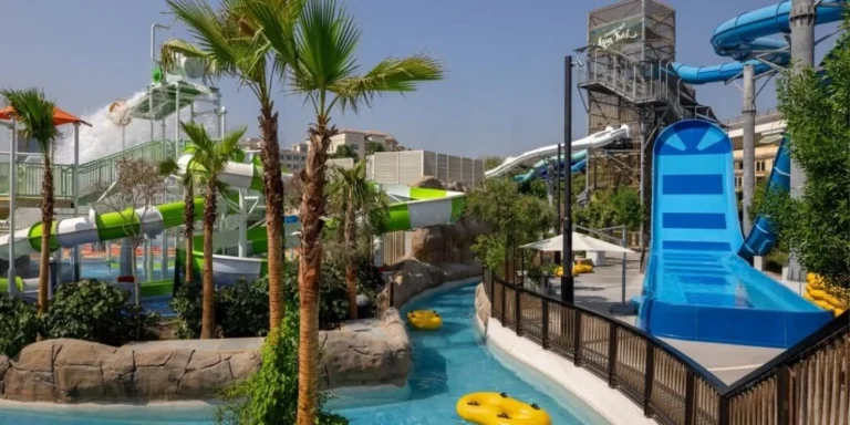 SaveClip.App_580823729_1262095299285751_7656596359466808525_n-1024x512