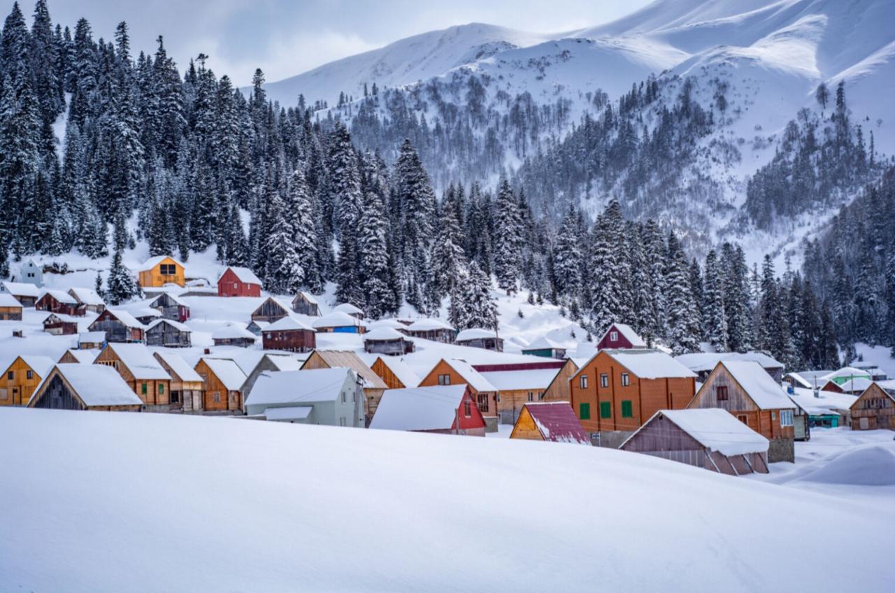 WhatsApp Image 2025-12-22 at 1.10.49 PM