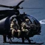 176110560216202601250335463546