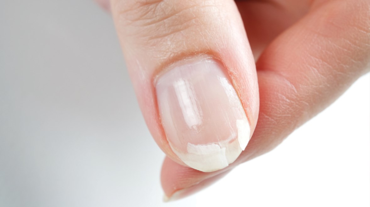 2814173952888020260103100626626