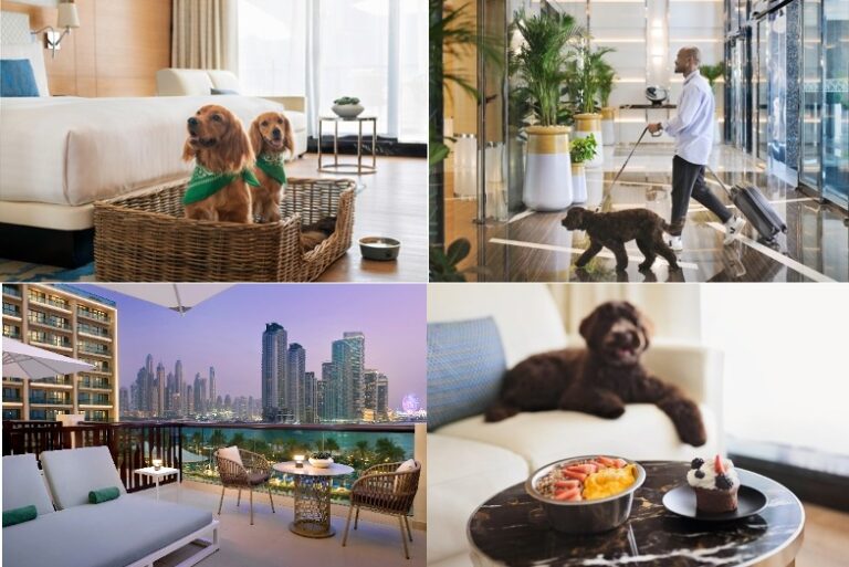 ADKq_Nbs376OnaqRdezNIYLEiMbrK7GW