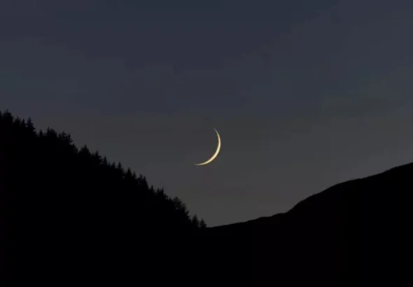 2026_2_16_23_39_21_479